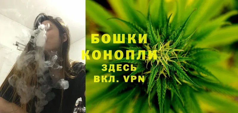 Каннабис OG Kush  MEGA tor  Усть-Джегута 